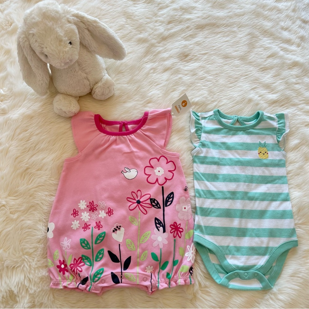 NWT - Gymboree Baby Girl- Set of 2 Onesies - Pink/Green - SZ3-6 months